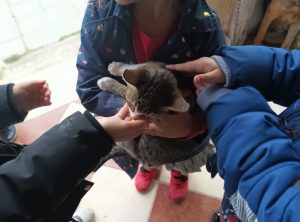 IMG c06433421e7a21a9064b125c9956ec0e V