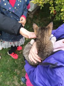 IMG c31c4613c915b2722856ddc068d699f6 V