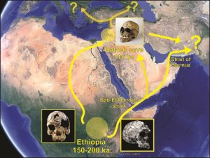 Migration routes