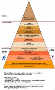 πυραμίδα διατροφής