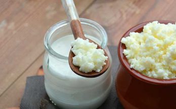 kefir