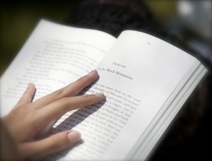 read 1386803 960 720