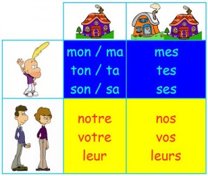 Adjectifs possessifs