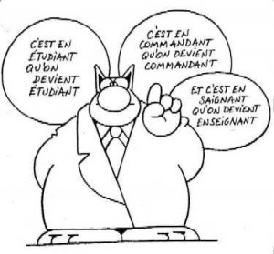 Le chat