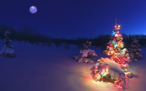 colorful_christmas_tree_hd_widescreen_wallpapers_1_by_darkeagle2011-d5pv5bm