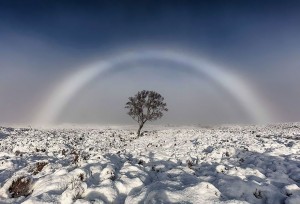 white-rainbow-melvin-nicholson-scotland-1