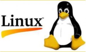 LINUX