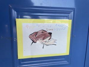 IMG 9174