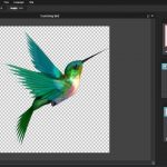 blog_Top_5_Free_Photo_Editing_Software_pixlr