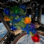 tree-cupola-iss