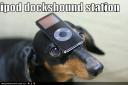 ipod-doggy