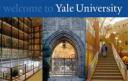 yale.jpg