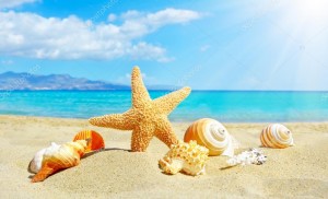 depositphotos_52432067-stock-photo-summer-beach-with-starfish-and