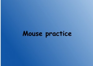 MOUSE PRACTICE