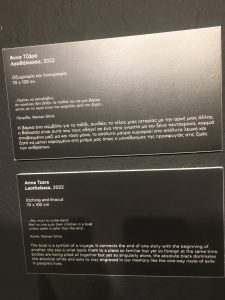 IMG 3237