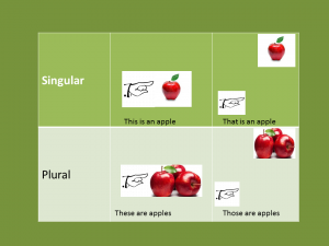 Presentation1