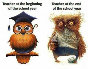 owl_teacher