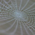 spider web 1196655