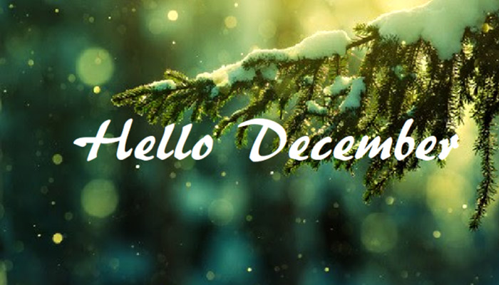 hello december