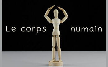 Le corps humain